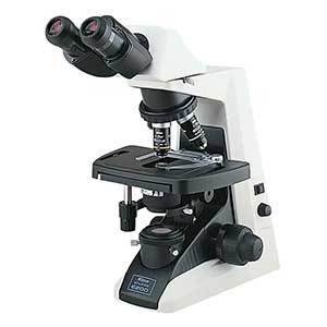 Upright Microscope